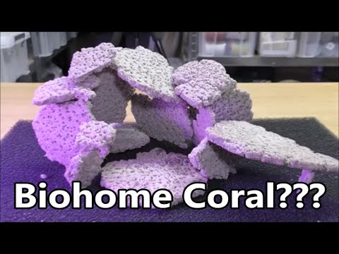Biohome Coral ?? What Do YOU Think?