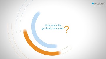 How does the gut-brain axis work?