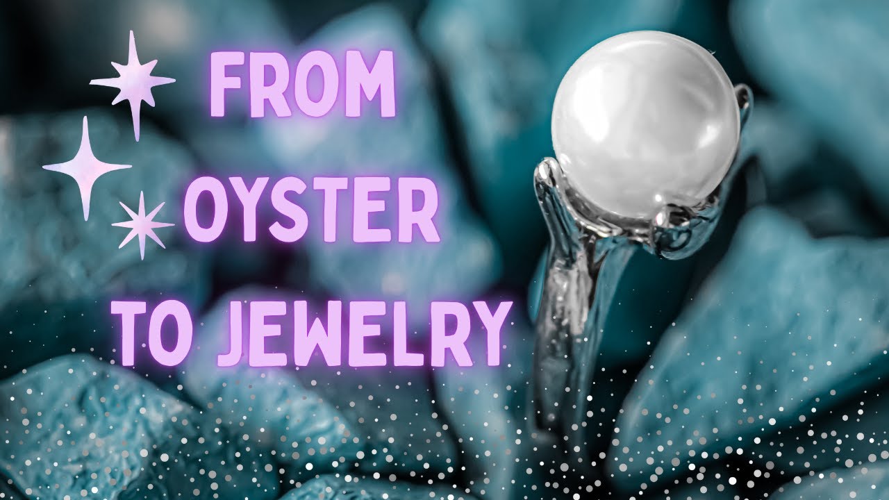 От устриц до ювелирных изделий — откройте для себя жемчуг вместе с нами! (Представляет 18555 - 18...