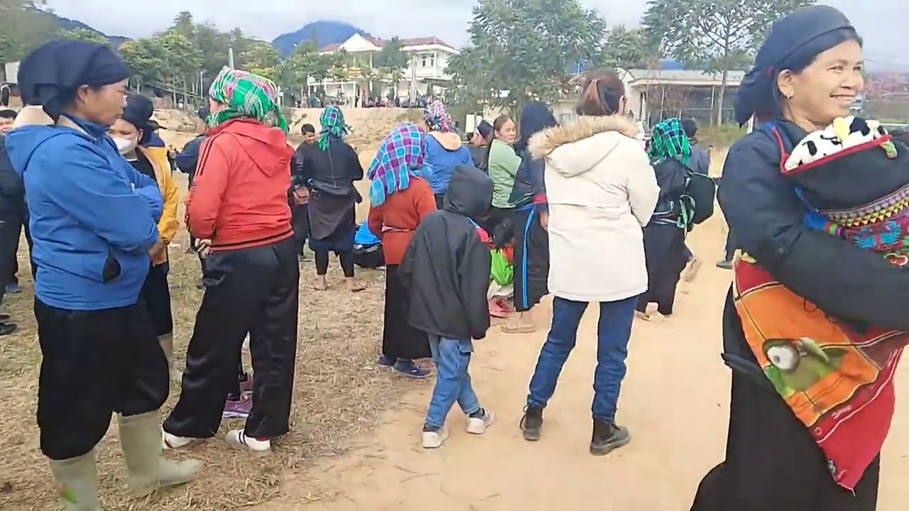 Highland Festival - Let's all watch the whole video together! 