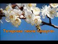 Татарская Народная Песня - Сандугач