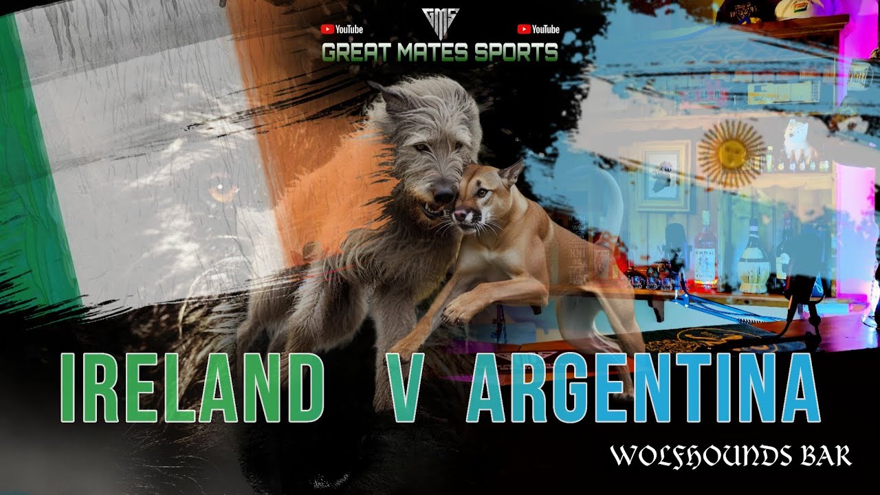 Ireland V Argentina LIVE Rugby Watchalong Wolfhounds Bar Ireland