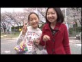 いなべ住友「さくらまつり」 の動画、YouTube動画。