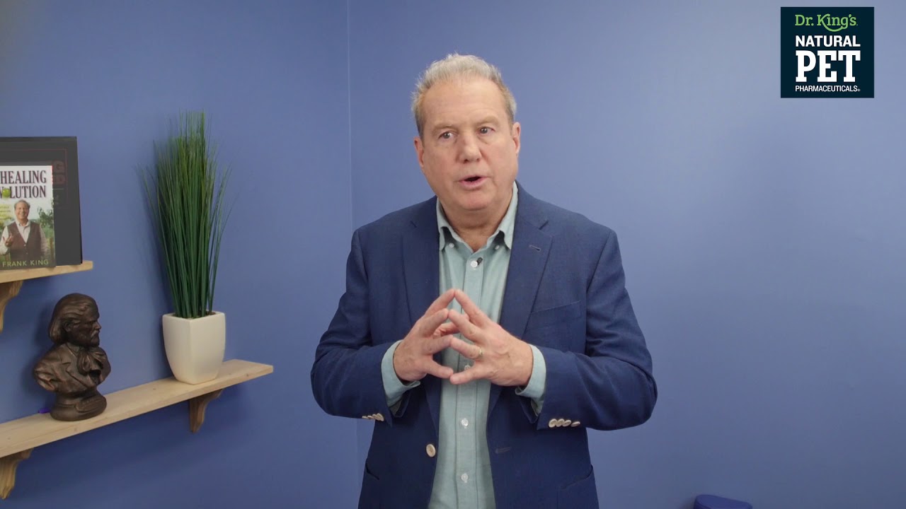 Dr. King’s Natural Pet - Dog: Anxiety & Stress