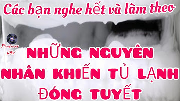 Những nguyên nhân tủ lạnh bị đóng tuyết, các biện pháp khắc phục rất đơn giản