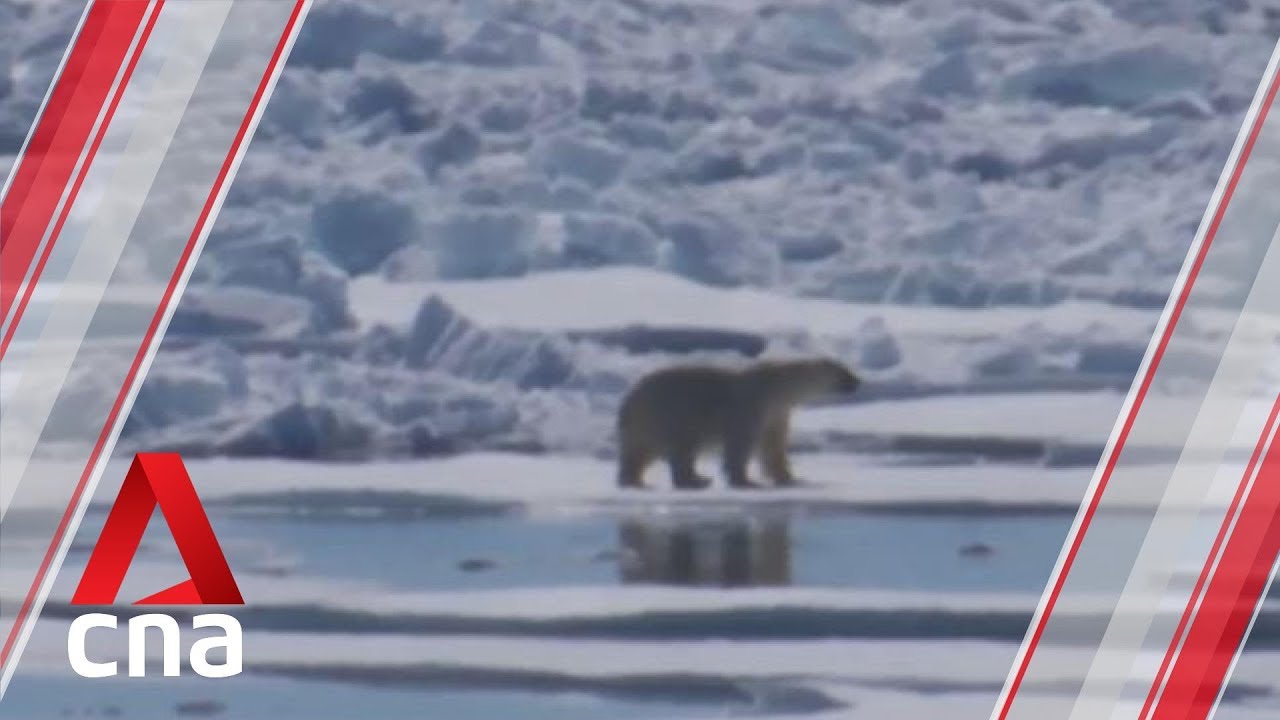 Urban planning can make cities more resilient to climate change: Expert