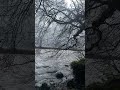 Windy Waves & Swaying Trees… Nature at Its Calmest