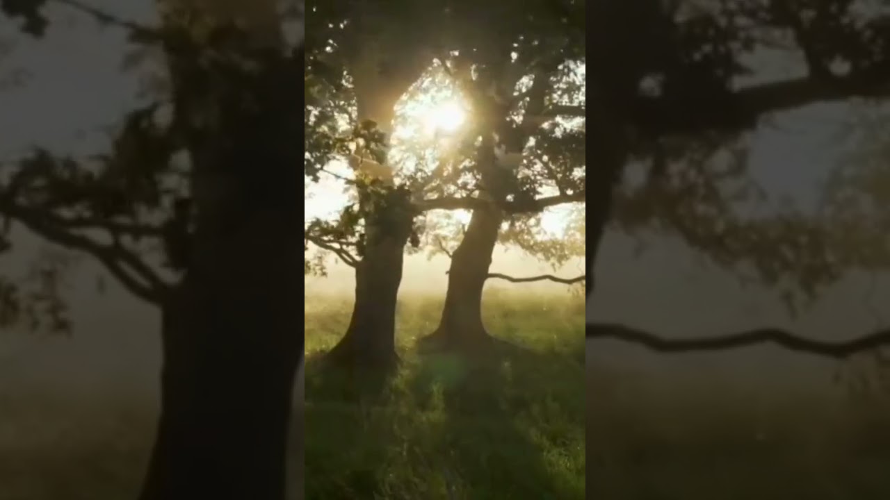 Эвакуация детей и объединение родителей на уровне класса