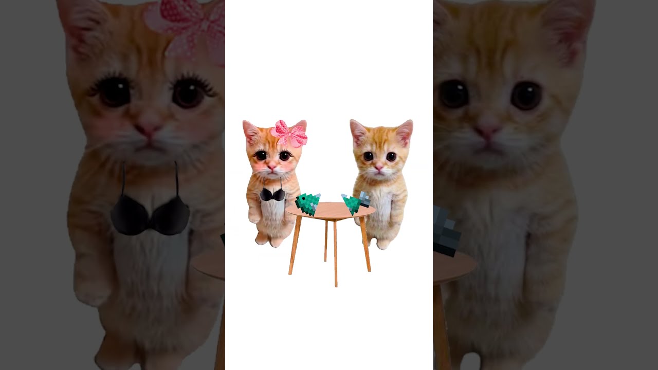 How Does A Crisis Work Explain With Kitties