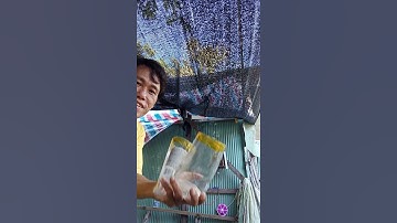 Tự chế dụng cụ, cách hay phương pháp cắt chai thủy tinh chuẩn nhất, đẹp không nứt bậy