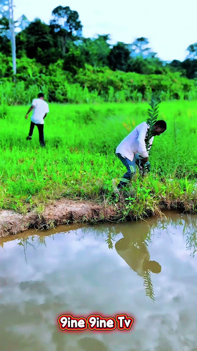 Don’t Trust Anybody 😂😂