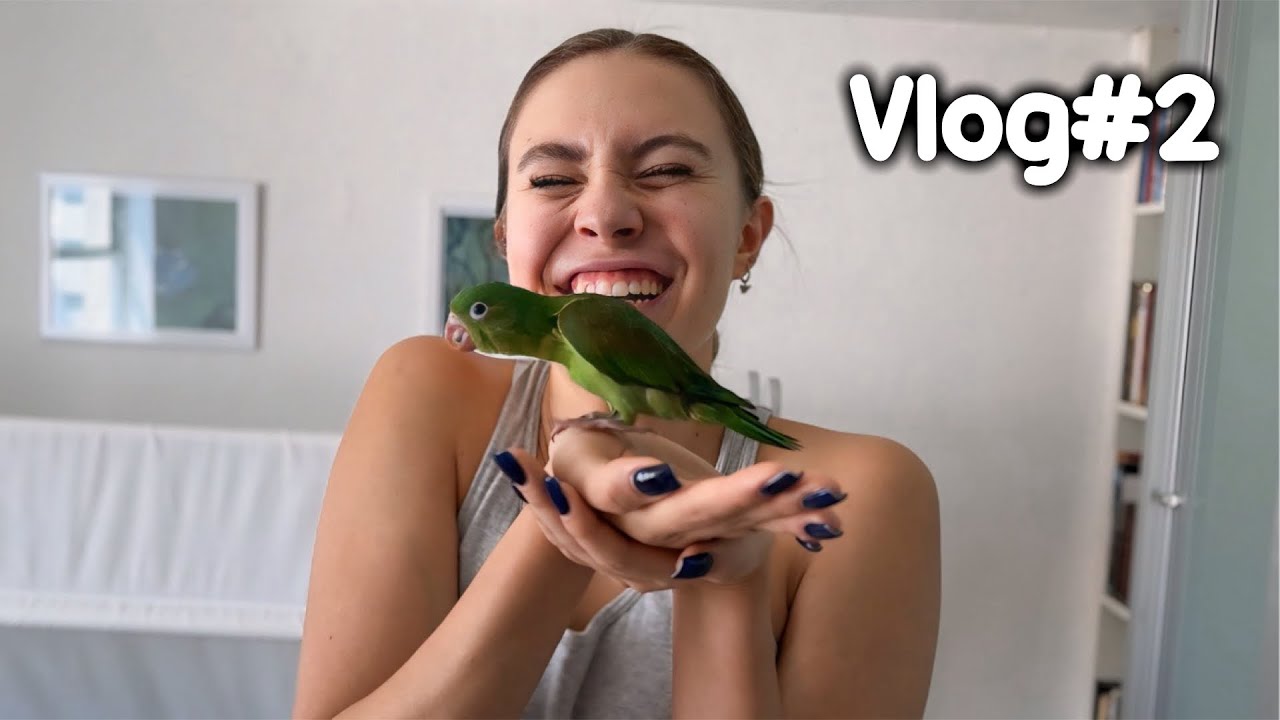 EL NUEVO INTEGRANTE DE LA FAMILIA👩🏻‍🤝‍👩🏼🦜- Emilyn - YouTube