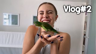 EL NUEVO INTEGRANTE DE LA FAMILIA👩🏻‍🤝‍👩🏼🦜- Emilyn by Emilyn 53,562 views 2 months ago 21 minutes