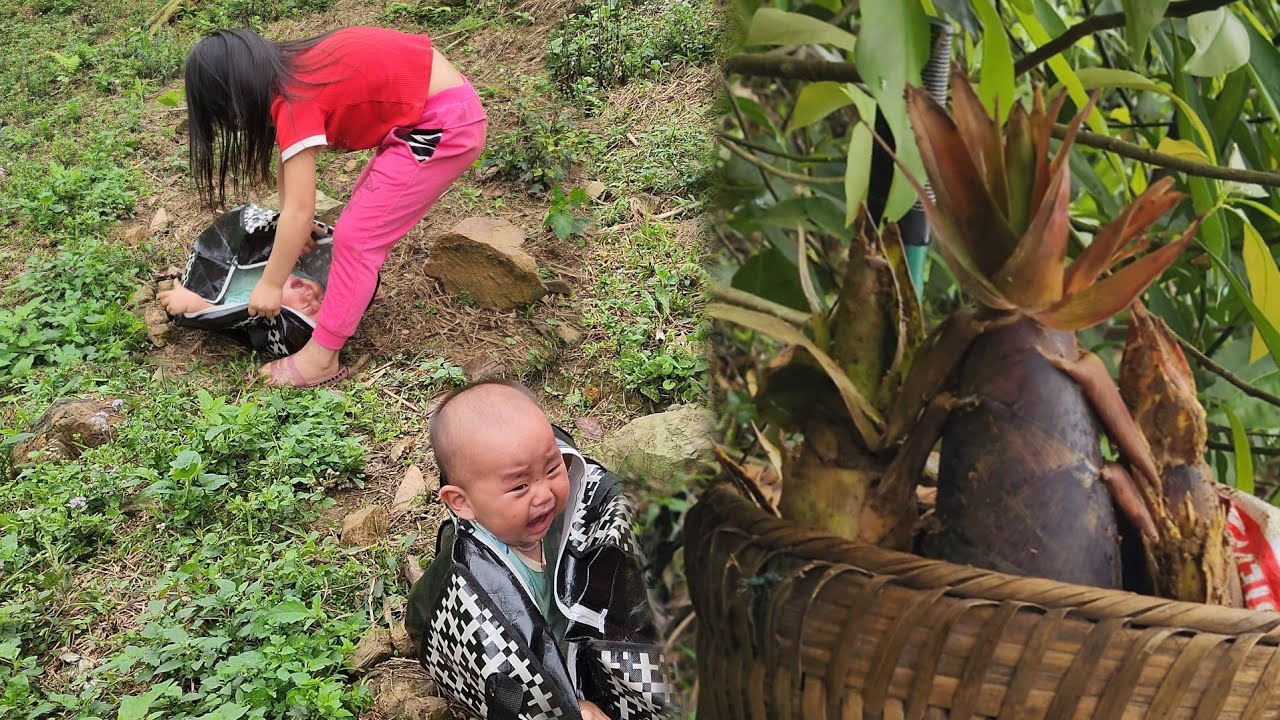 Single mother looking for bamboo shoots to sell to make money to pay for life