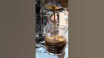 ECM Puristika - Bottomless Portafilter ☕ #espresso #coffeelover