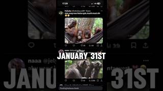 Download Lagu SEABLINGS VS SOUTH KOREA #korea #indonesia #philippines #malaysia #vietnam #thailand #fyp #viral MP3