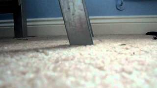 iPod Nano 3rd Generation Crash Test