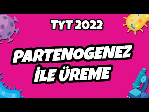 Partenogenez İle Üreme | TYT Biyoloji 2022 #hedefekoş
