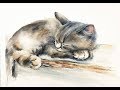 Watercolor Sleeping Cat Painting Demonstration