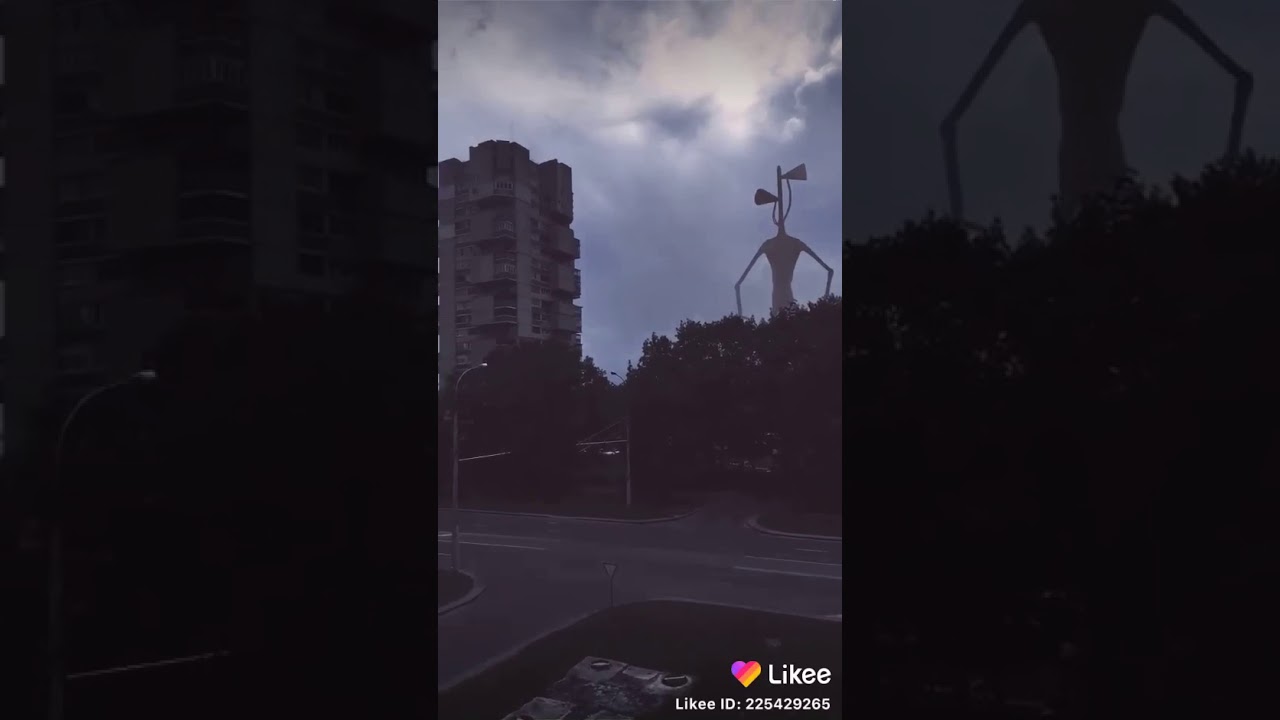 Сереноголововый Фото На Улице