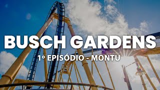 Montu - Busch Gardens