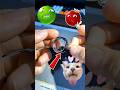 #trending #viral #toys #viral #new #free #tiktok #shorts
