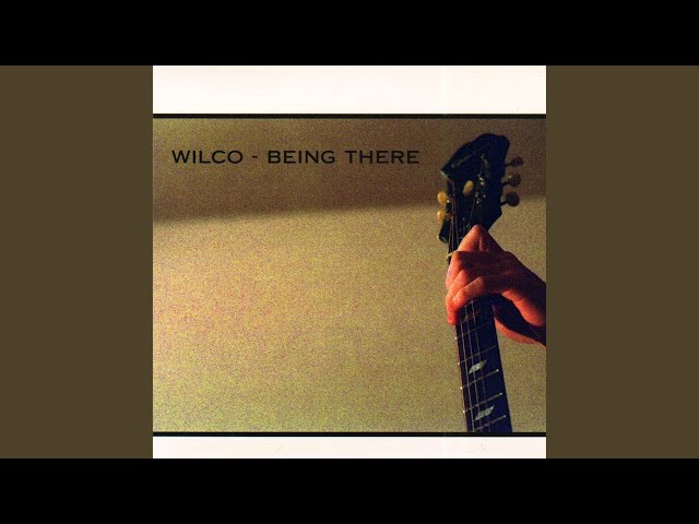 WILCO - I GOT YOU