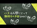 それでもハエのこと、嫌えますか？ ソ連の叡智を結集したエリートのハエで、食糧危機に挑むムスカ