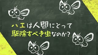 それでもハエのこと、嫌えますか？ ソ連の叡智を結集したエリートのハエで、食糧危機に挑むムスカ