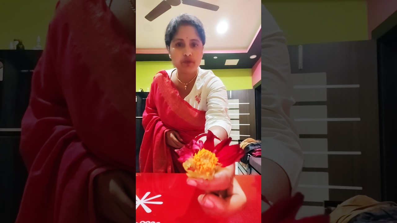 Эта белка, я тебя люблю! 