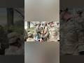 U.S. Army M119 Howitzer: Live Fire at Fort McCoy, Wisconsin