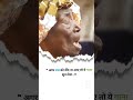 African Old Lady Singing Voicefully Oldlady Shortvideo Trending Shorts On Youtube African Old Lady Singing Voicefully Oldlady Shortvideo Trending Shorts On Youtube