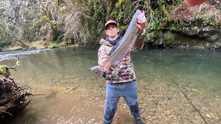 Small creek fishing Washington State