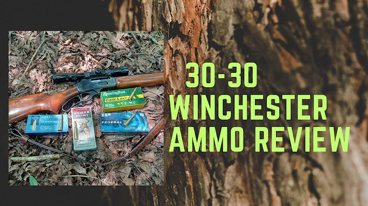 30-30 Winchester Ammo Test