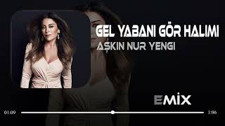 Aşkın Nur Yengi - Gel Yabani Gör Halimi ( Faruk Demir Remix )