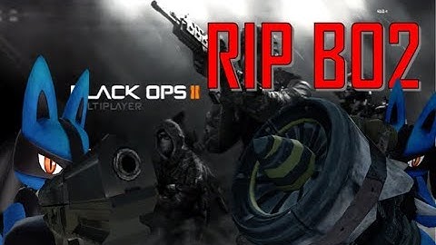 The Pain Just to get on BO2 After the PSN Name Change...