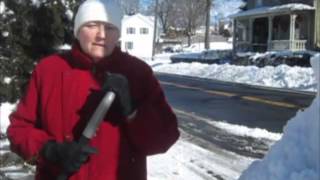 Coping with Nemo in Hudson Valley