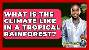 What Is The Climate Like In A Tropical Rainforest? - Earth Science Answers