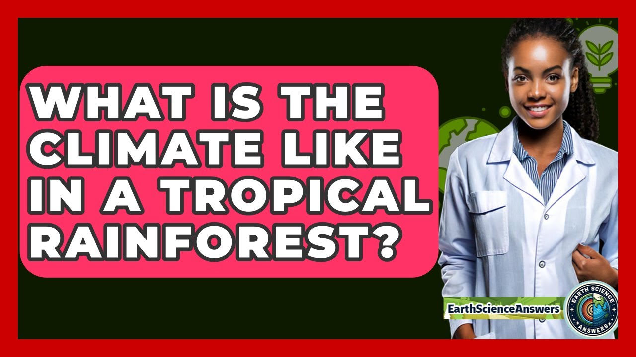 What Is The Climate Like In A Tropical Rainforest? - Earth Science Answers