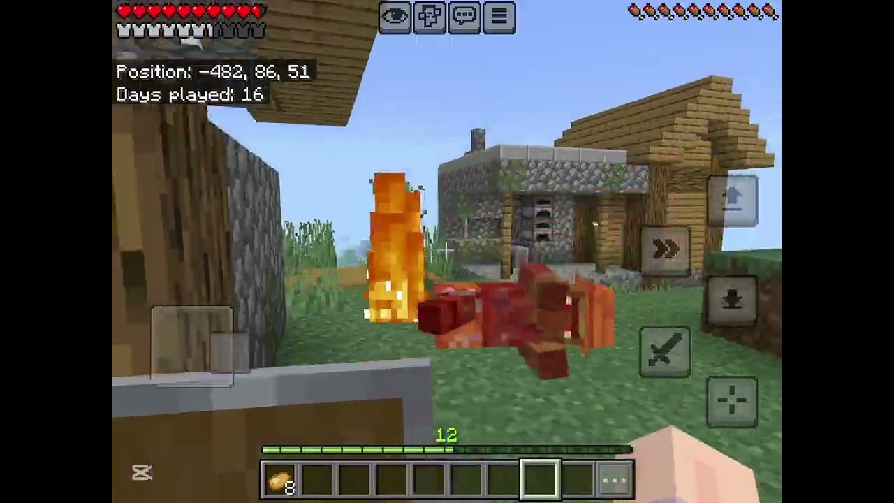 Day 1 in my Minecraft world (Building and Mining)