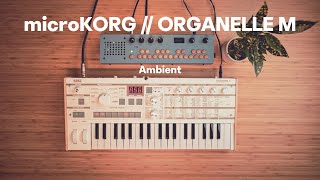 microKORG // Organelle // Ambient