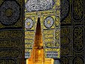 #islamicmusic #islamicshorts #duet #love you madina Sharif