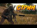 СТРИМ PUBG MOBILE / СТРИМ ПАБГ МОБАЙЛ