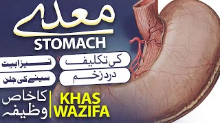 Badhazmi, Gas Aur Maday Ki Jalan | Ulcer Ka Rohani Ilaj  | Wazifa | |Rohani Ilaj Aur Istekhara