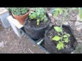 How to Build an Outdoor Plant Stand How to Build an Outdoor Plant Stand