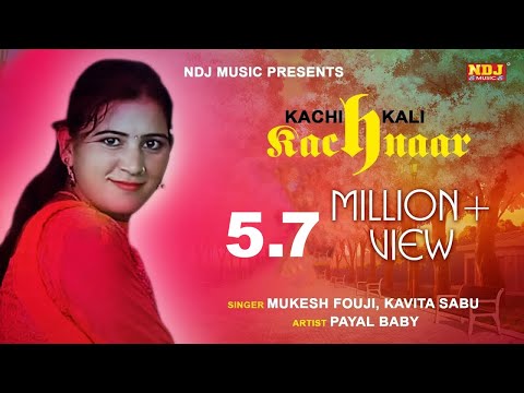 kachi Kali Kachnaar # कच्ची कली कचनार की # Payal Baby # Latest Haryanvi Dance 2017 # NDJ Music