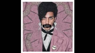 1981.02 Prince - Sexuality 