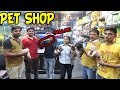 CHEAPEST DOGS AND PET SHOPS  ( PART 2) || Deepti Vlog