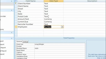Microsoft Access 2007 Table Data Types and Field Properties