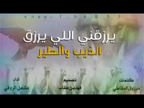 شيلة يرزقني اللي يرزق الذيب والطير مرزوق المقاطي 
